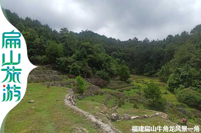 龍（lóng）岩荒廢的農田風景